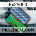 Fx25000 new03